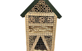 How to make a bug hotel for kids