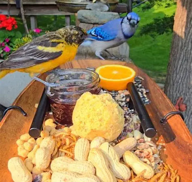 From TikTok to your garden: The ‘Chirp-cuterie’ boards birds will love