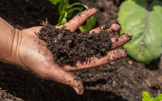 How to improve your garden soil