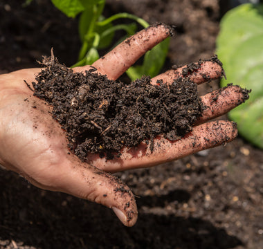 How to improve your garden soil