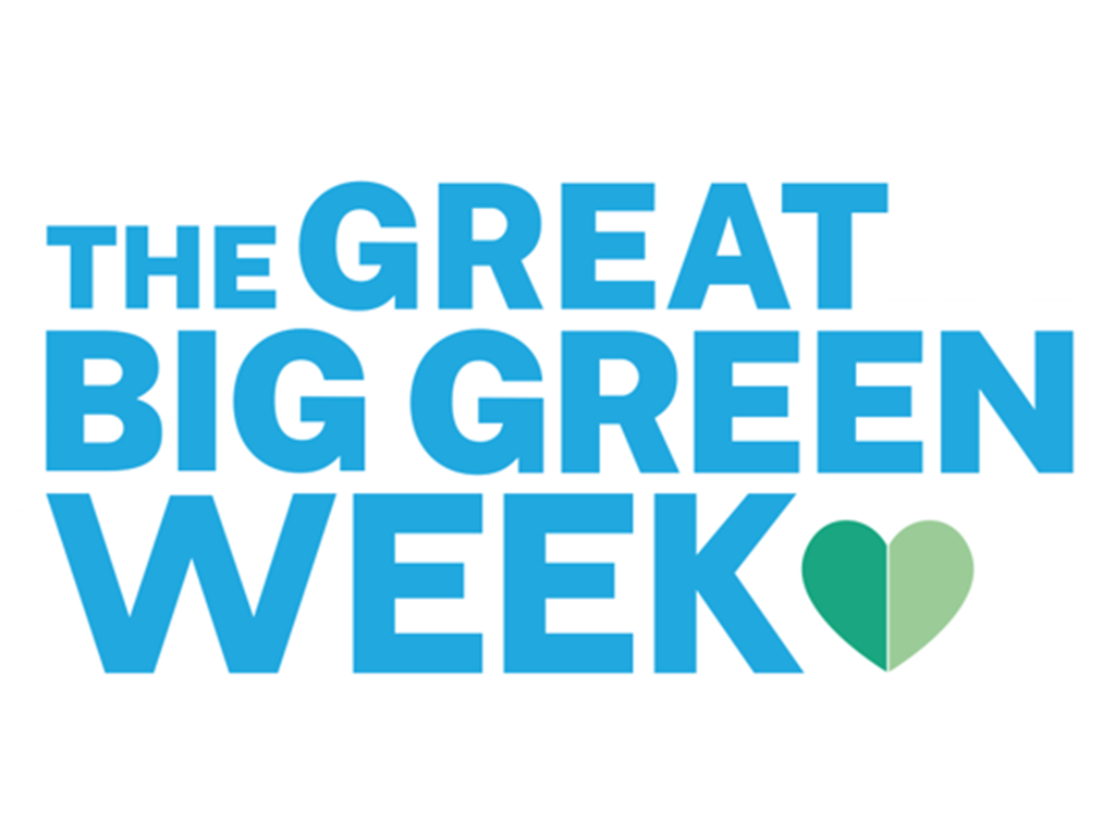 World Environment Day and Great Big Green Week 2024 – Green Feathers