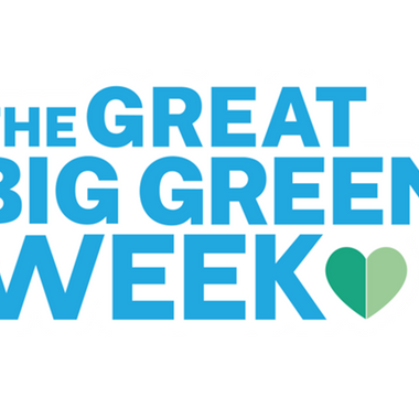 World Environment Day and Great Big Green Week 2024