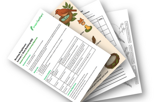 Introducing the Green Feathers Learning Centre: Free KS2 Lesson Plans and Wildlife Education Resources