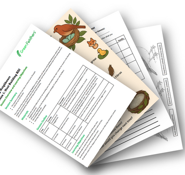 Introducing the Green Feathers Learning Centre: Free KS2 Lesson Plans and Wildlife Education Resources