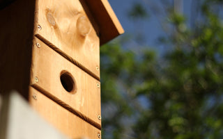 Hole Entrance Bird Nest Box