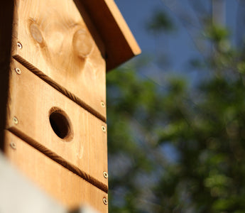 Hole Entrance Bird Nest Box