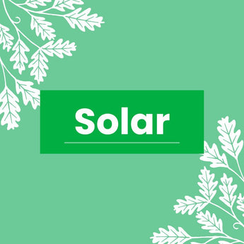 Solar Powered Bird Box Camera Kits