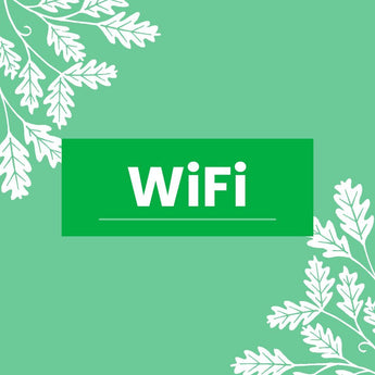 WiFi Bird Box Cameras