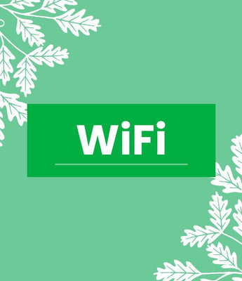 WiFi Bird Box Cameras