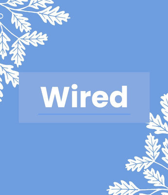 Wired TV Bird Box Cameras