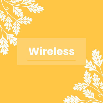 Wireless Bird Box Camera Kits