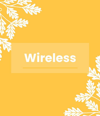 Wireless Bird Box Cameras