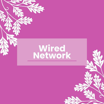 Wired Network Bird Box Cameras