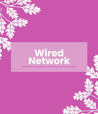 Wired Network Bird Box Cameras