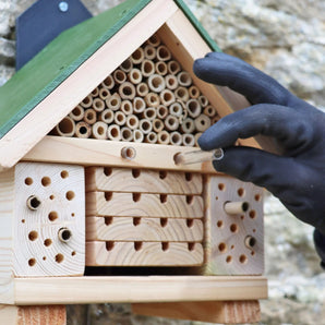 ARX Citizen Science Bee Hotel