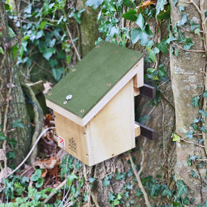 ARX Dormouse / Small Mammal Box