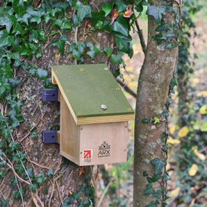 ARX Dormouse / Small Mammal Box