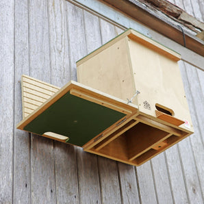 Multi Species Bat Roost & Maternity Box