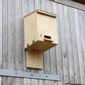 Multi Species Bat Roost & Maternity Box