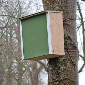ARX Pine Marten Box