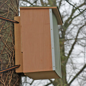 ARX Pine Marten Box