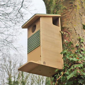 ARX Red Squirrel Long Life Box