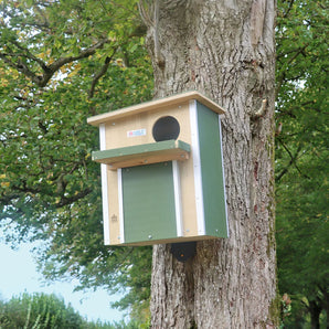 ARX Owl / Kestrel Box