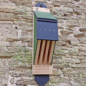 ARX Vincent Bat Box