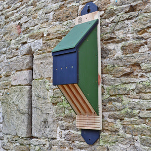 ARX Vincent Bat Box