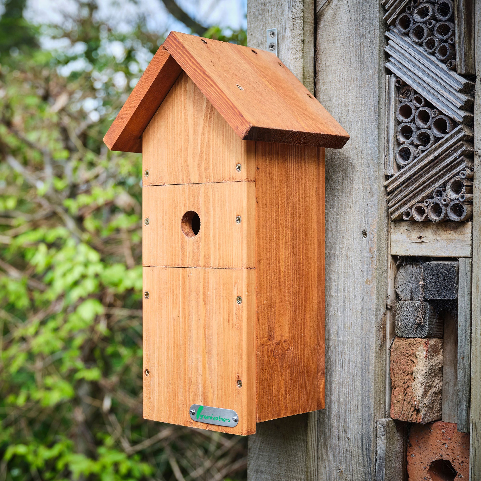 Ird Box Wired Network Bird Box HD Camera Pack (3rd Gen) – Green Feathers