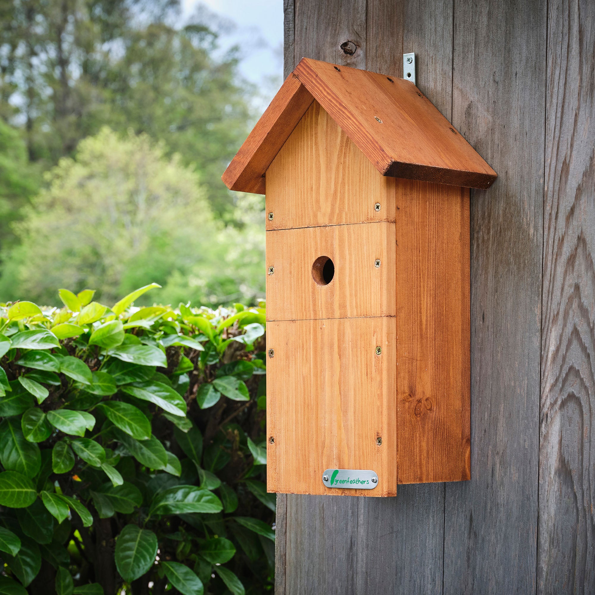 Bird Box Extension Bird Box and Bird Feeder Garden Camera Kit – Green Feathers