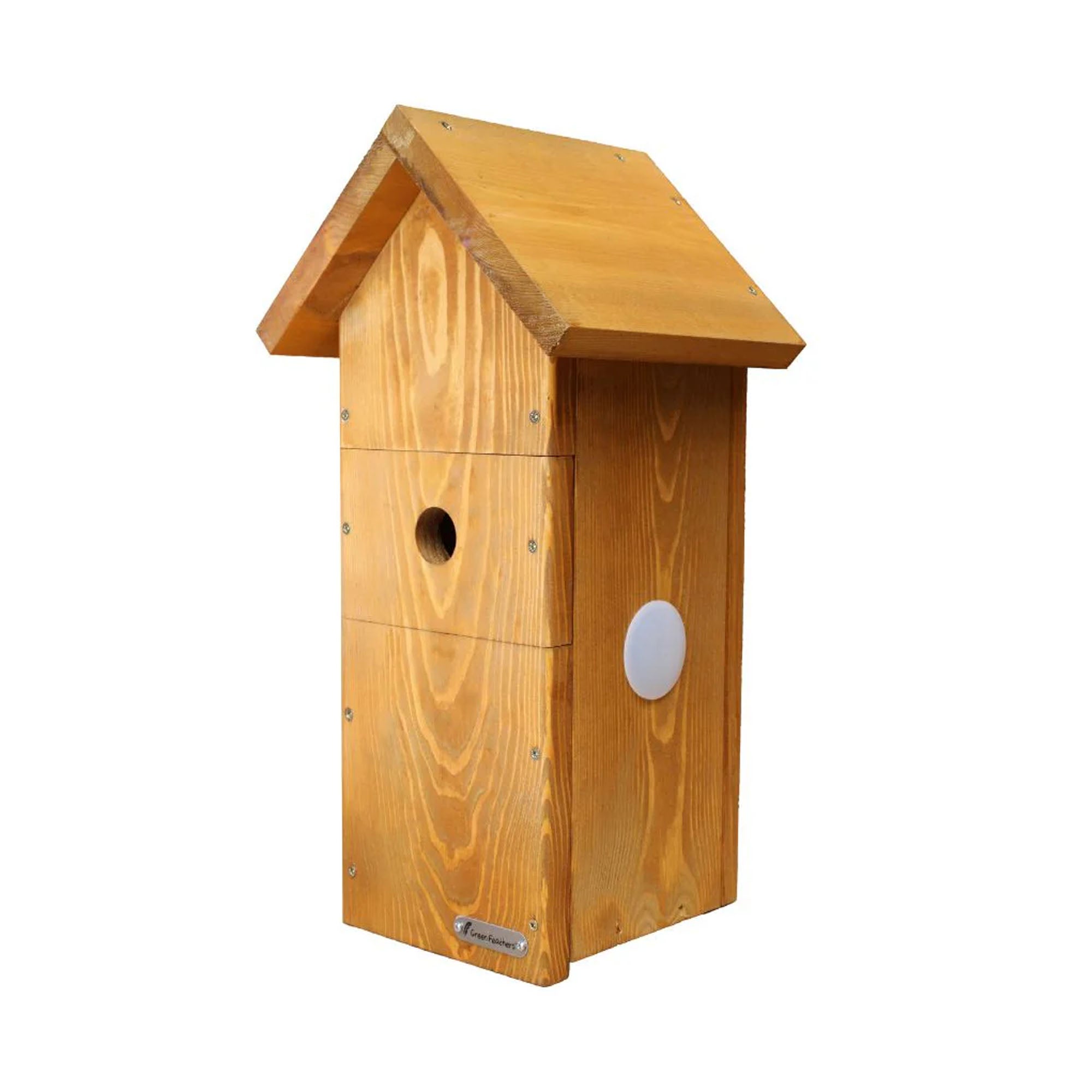 Solar Camera Ready Bird Box – Green Feathers