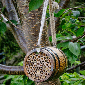 Bee Barrel