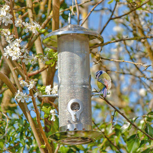 Small Stainless Steel Bird Feeder