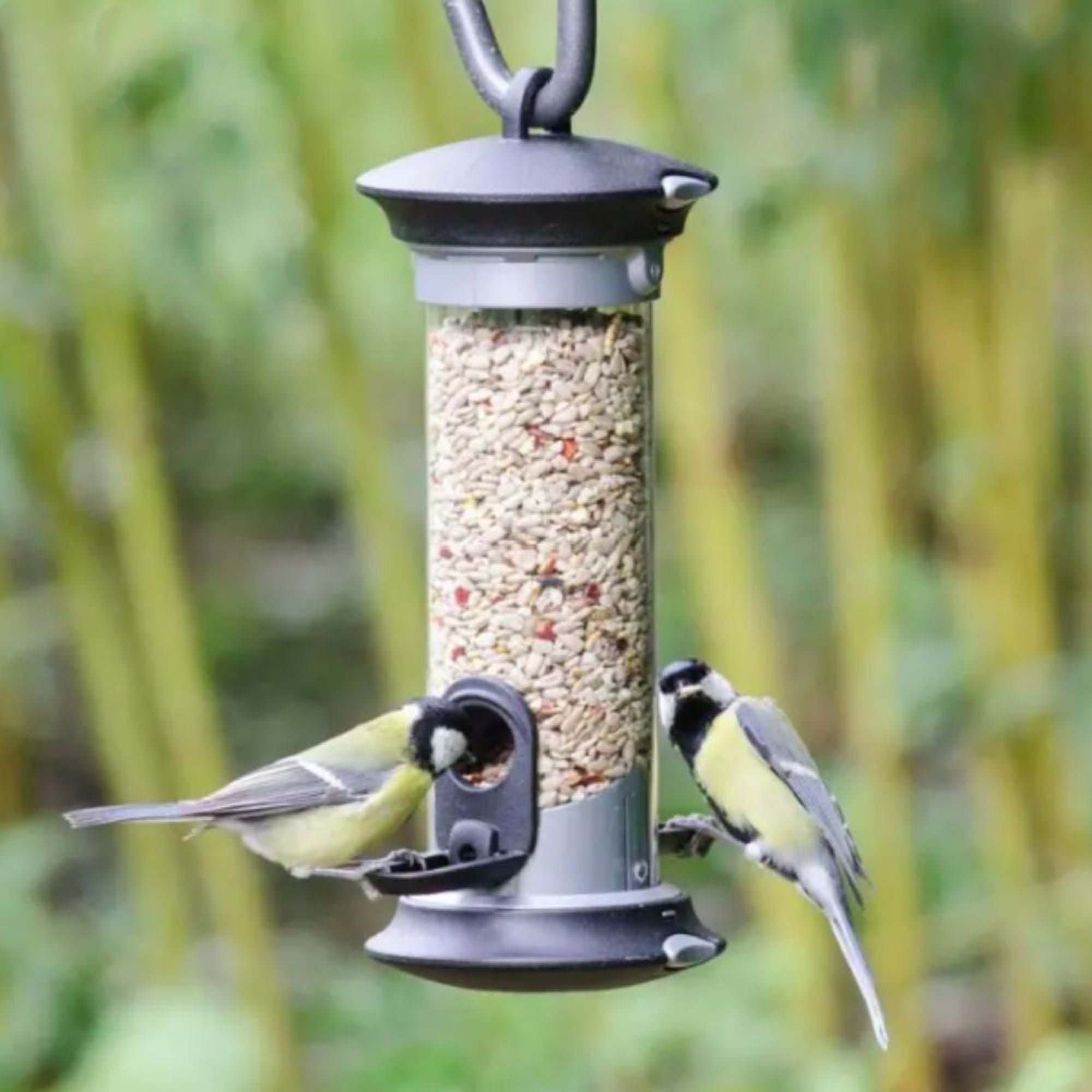 National Trust Apollo 2 Port Metal Feeder