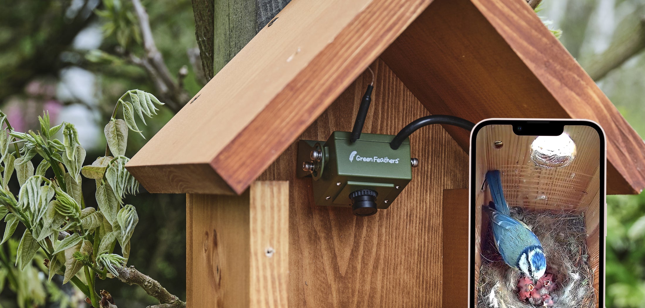 Bird Box Camera Argos Bird Box Camera Kit Wireless Night Vision