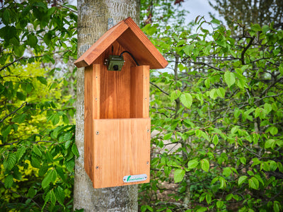 UK's First WiFi Bird Box Camera