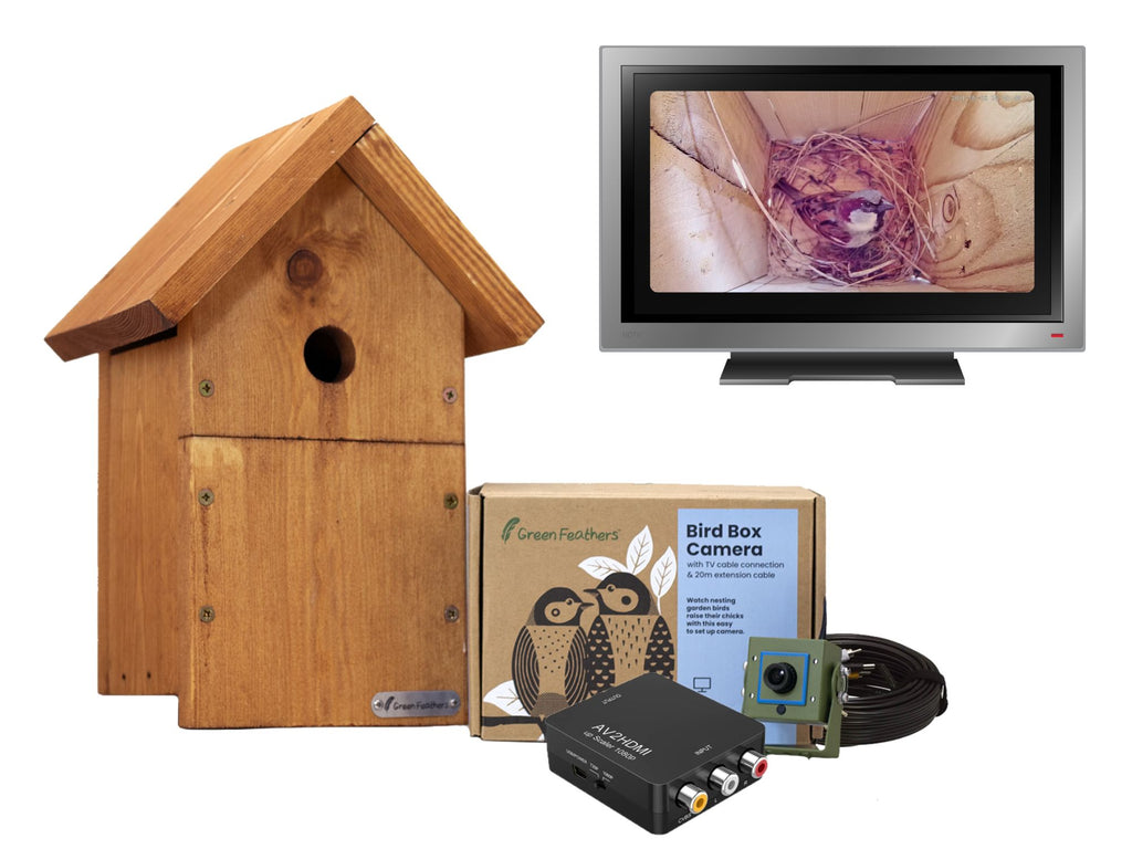 nest box camera