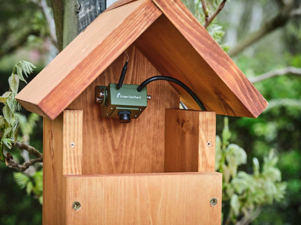 Bird box with deals webcam