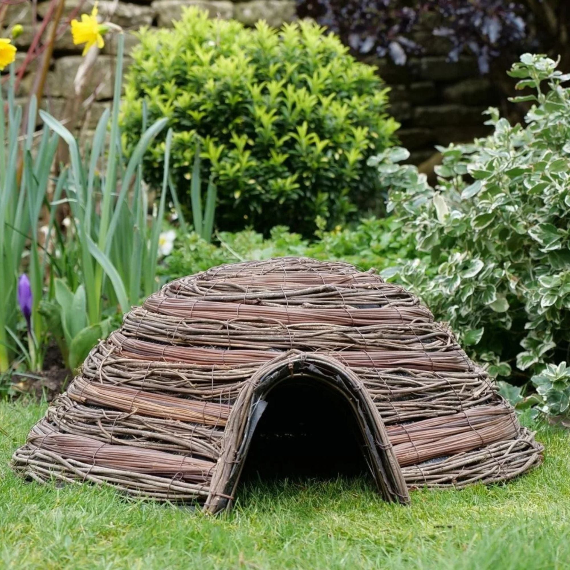Dome Hedgehog House