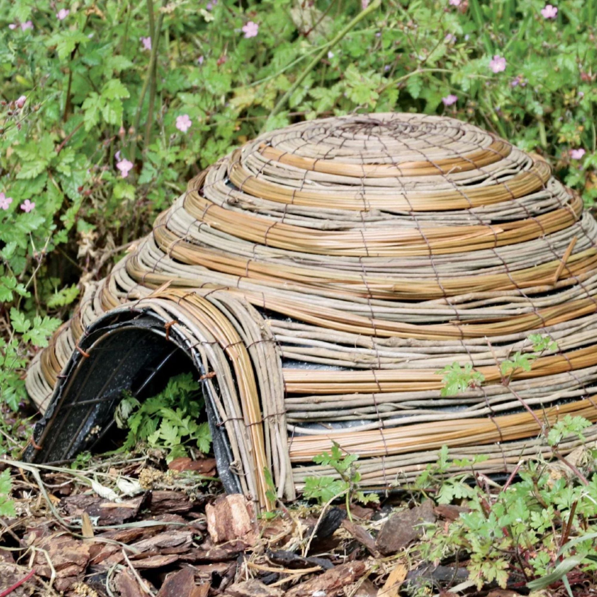 Dome Hedgehog House