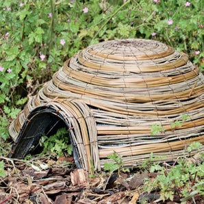 Dome Hedgehog House