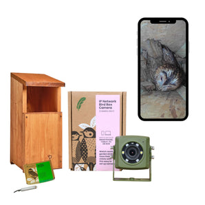 Wired Network Owl Box HD Camera Pack