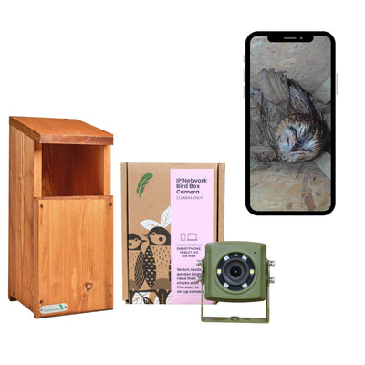 Wired Network Owl Box HD Camera Pack