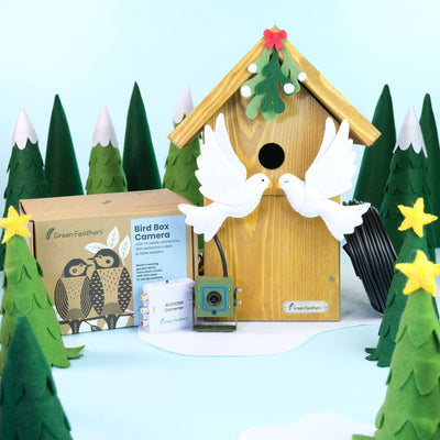 Cable Connection Bird Box Camera Starter Pack