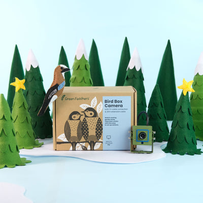 Cable Connection Bird Box & Wildlife Camera