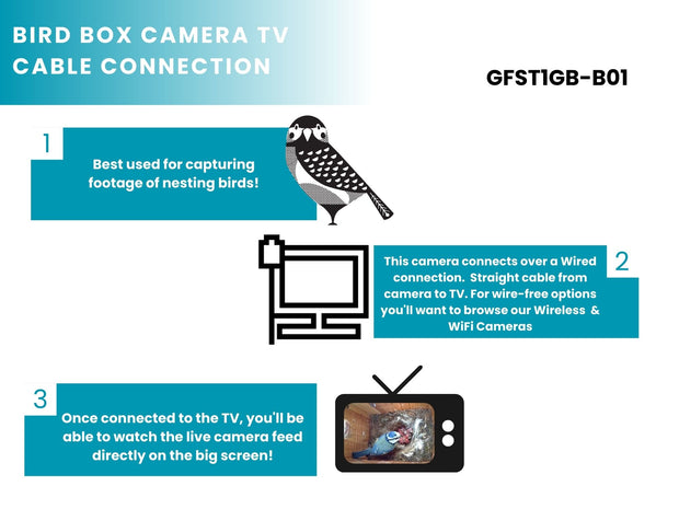 live bird box webcams
