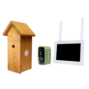 Wireless Solar Powered Bird Box Camera & Screen Starter Pack