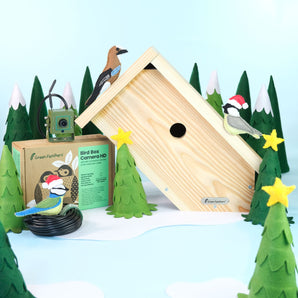 WiFi Side View Bird Box Starter Pack