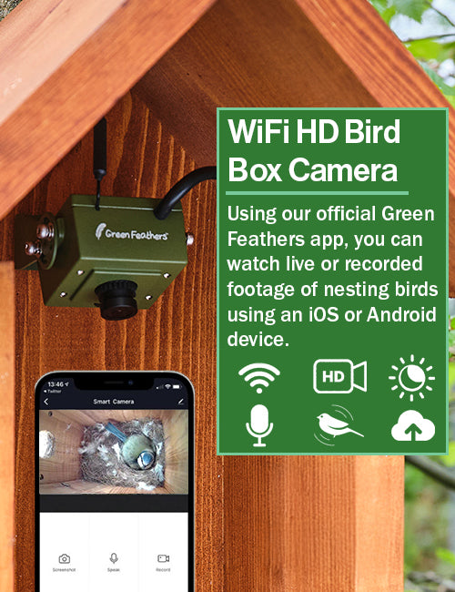 Wifi Camera Watch Bird Box Free Now WiFi Side View Bird Box Camera